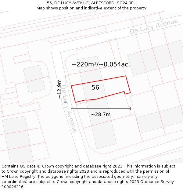 56, DE LUCY AVENUE, ALRESFORD, SO24 9EU: Plot and title map