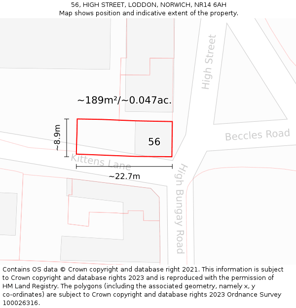 56, HIGH STREET, LODDON, NORWICH, NR14 6AH: Plot and title map