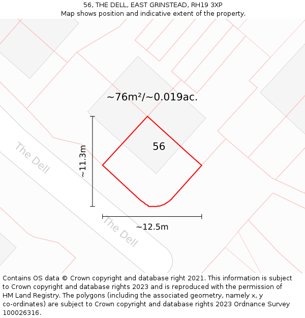 56, THE DELL, EAST GRINSTEAD, RH19 3XP: Plot and title map