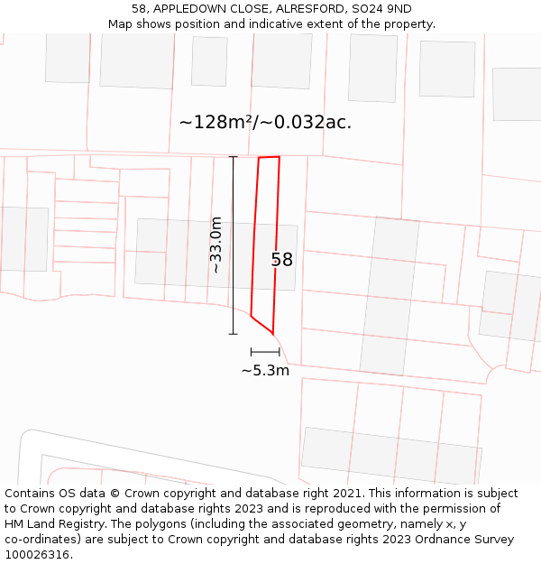 58, APPLEDOWN CLOSE, ALRESFORD, SO24 9ND: Plot and title map
