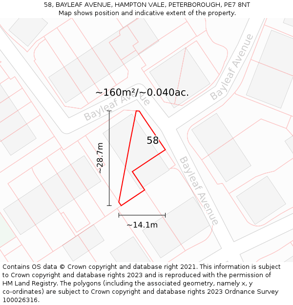 58, BAYLEAF AVENUE, HAMPTON VALE, PETERBOROUGH, PE7 8NT: Plot and title map