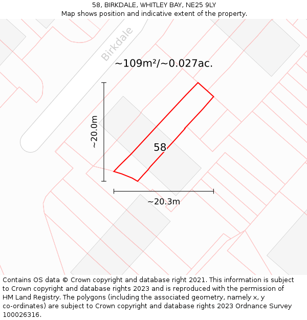 58, BIRKDALE, WHITLEY BAY, NE25 9LY: Plot and title map