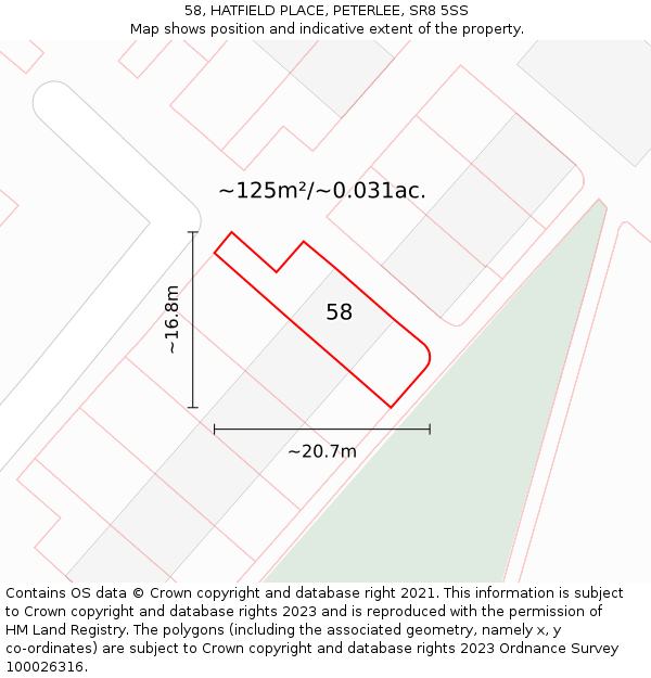 58, HATFIELD PLACE, PETERLEE, SR8 5SS: Plot and title map