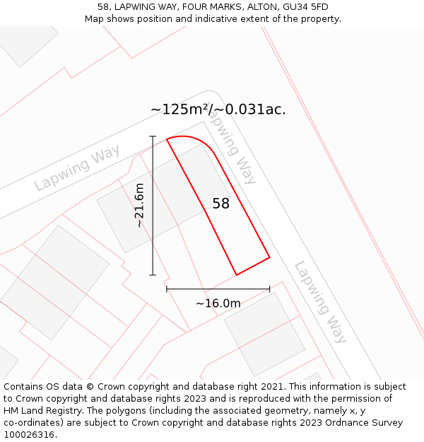 58, LAPWING WAY, FOUR MARKS, ALTON, GU34 5FD: Plot and title map