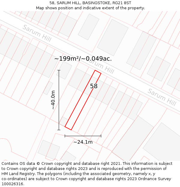 58, SARUM HILL, BASINGSTOKE, RG21 8ST: Plot and title map