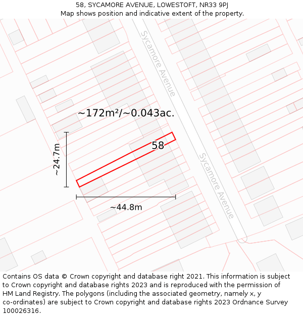 58, SYCAMORE AVENUE, LOWESTOFT, NR33 9PJ: Plot and title map