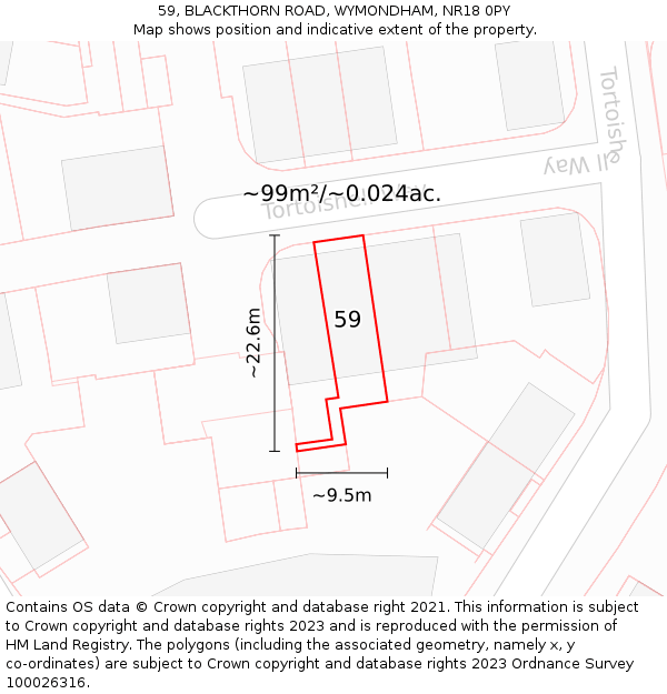 59, BLACKTHORN ROAD, WYMONDHAM, NR18 0PY: Plot and title map