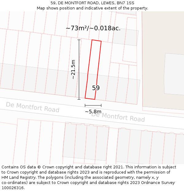 59, DE MONTFORT ROAD, LEWES, BN7 1SS: Plot and title map