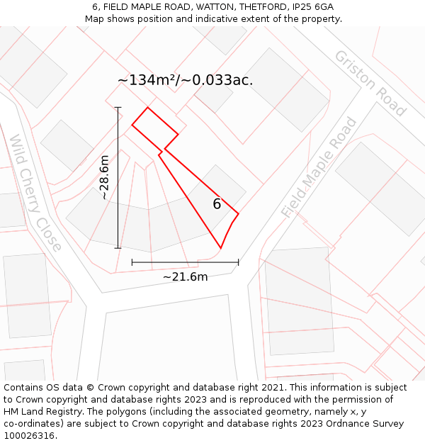 6, FIELD MAPLE ROAD, WATTON, THETFORD, IP25 6GA: Plot and title map