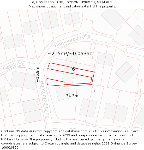 6, HOMEBRED LANE, LODDON, NORWICH, NR14 6UY: Plot and title map