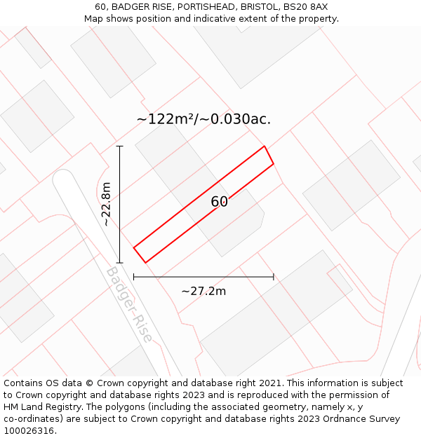 60, BADGER RISE, PORTISHEAD, BRISTOL, BS20 8AX: Plot and title map
