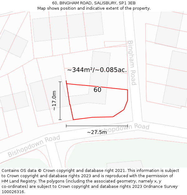 60, BINGHAM ROAD, SALISBURY, SP1 3EB: Plot and title map