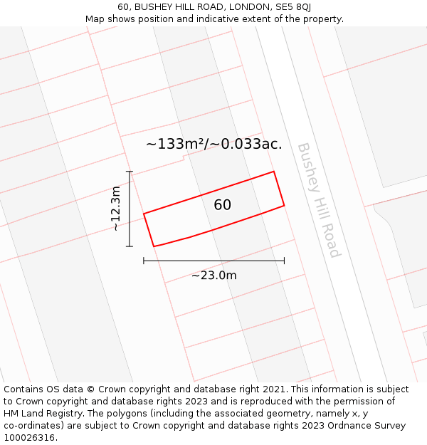 60, BUSHEY HILL ROAD, LONDON, SE5 8QJ: Plot and title map