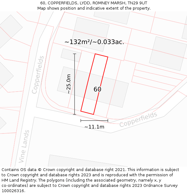 60, COPPERFIELDS, LYDD, ROMNEY MARSH, TN29 9UT: Plot and title map