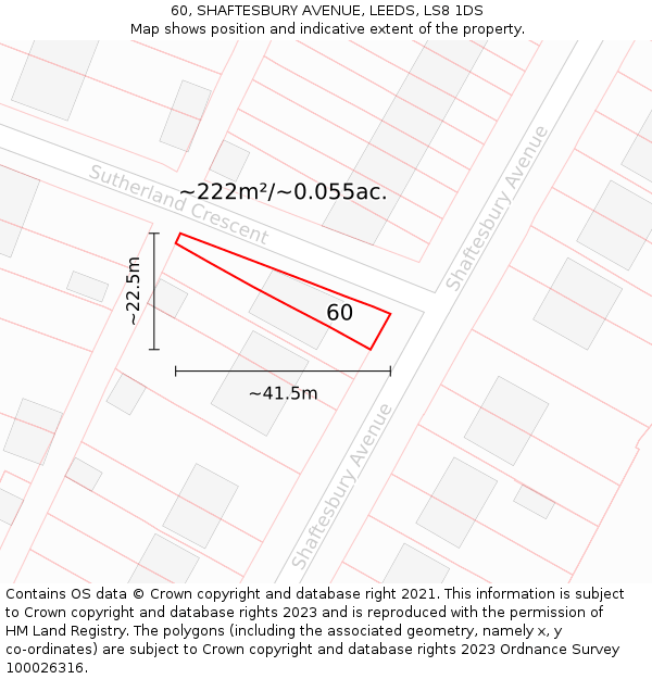 60, SHAFTESBURY AVENUE, LEEDS, LS8 1DS: Plot and title map