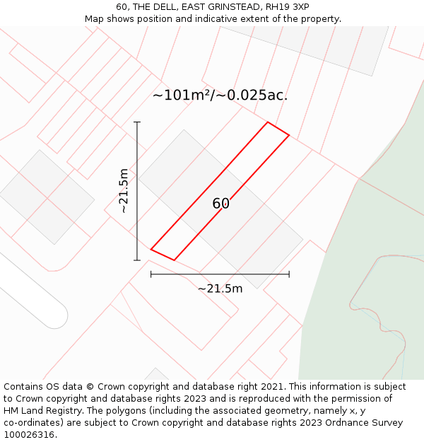 60, THE DELL, EAST GRINSTEAD, RH19 3XP: Plot and title map