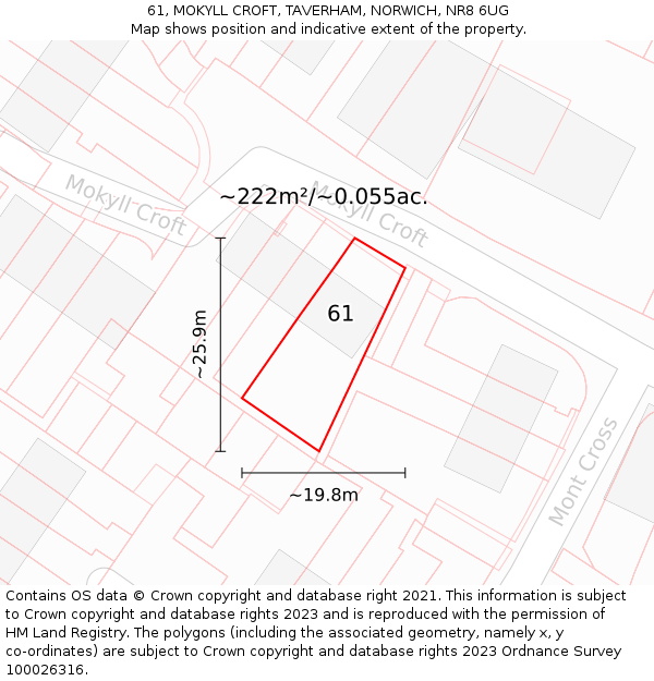 61, MOKYLL CROFT, TAVERHAM, NORWICH, NR8 6UG: Plot and title map