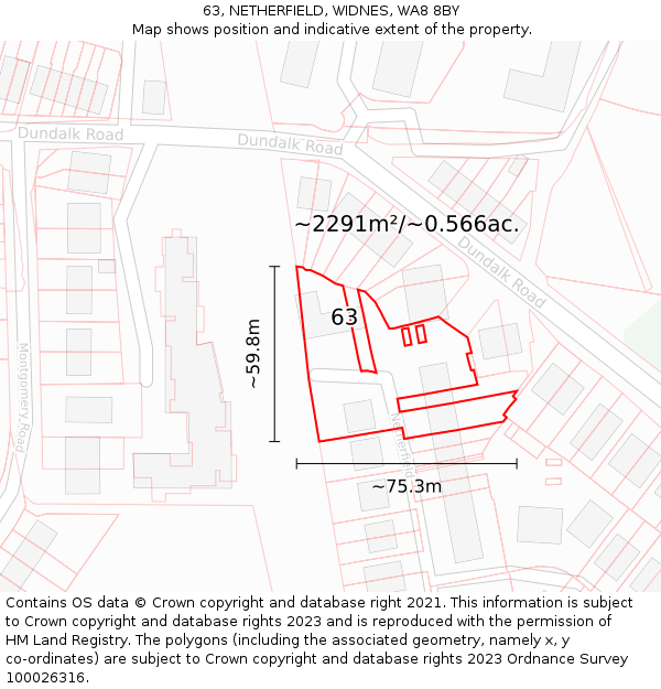 63, NETHERFIELD, WIDNES, WA8 8BY: Plot and title map