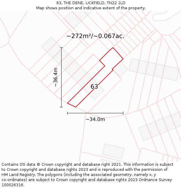 63, THE DENE, UCKFIELD, TN22 1LD: Plot and title map