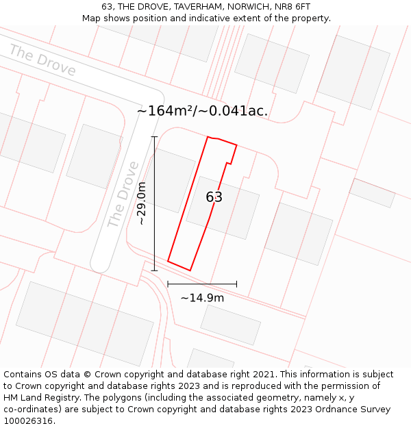 63, THE DROVE, TAVERHAM, NORWICH, NR8 6FT: Plot and title map
