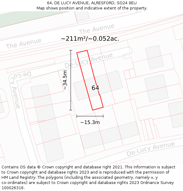 64, DE LUCY AVENUE, ALRESFORD, SO24 9EU: Plot and title map