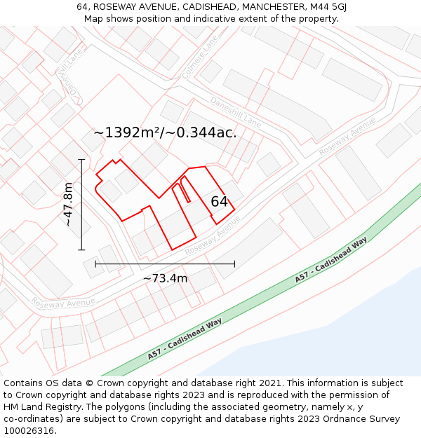 64, ROSEWAY AVENUE, CADISHEAD, MANCHESTER, M44 5GJ: Plot and title map