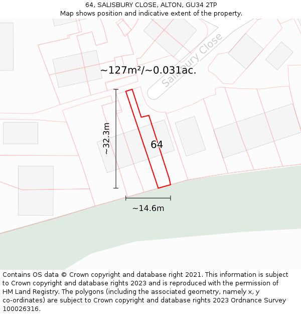 64, SALISBURY CLOSE, ALTON, GU34 2TP: Plot and title map