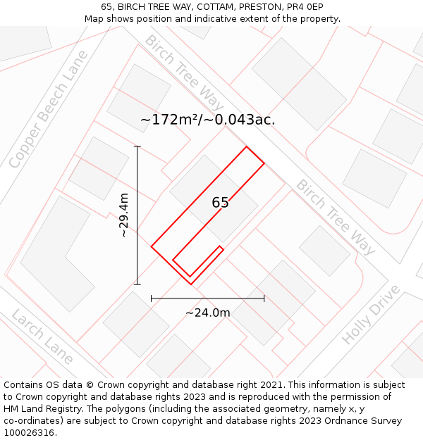 65, BIRCH TREE WAY, COTTAM, PRESTON, PR4 0EP: Plot and title map