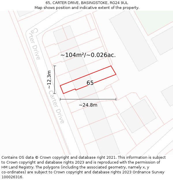 65, CARTER DRIVE, BASINGSTOKE, RG24 9UL: Plot and title map