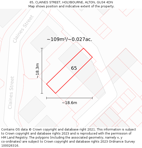 65, CLAINES STREET, HOLYBOURNE, ALTON, GU34 4DN: Plot and title map