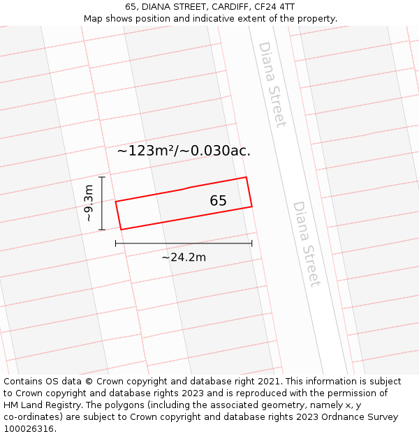 65, DIANA STREET, CARDIFF, CF24 4TT: Plot and title map