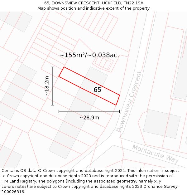 65, DOWNSVIEW CRESCENT, UCKFIELD, TN22 1SA: Plot and title map