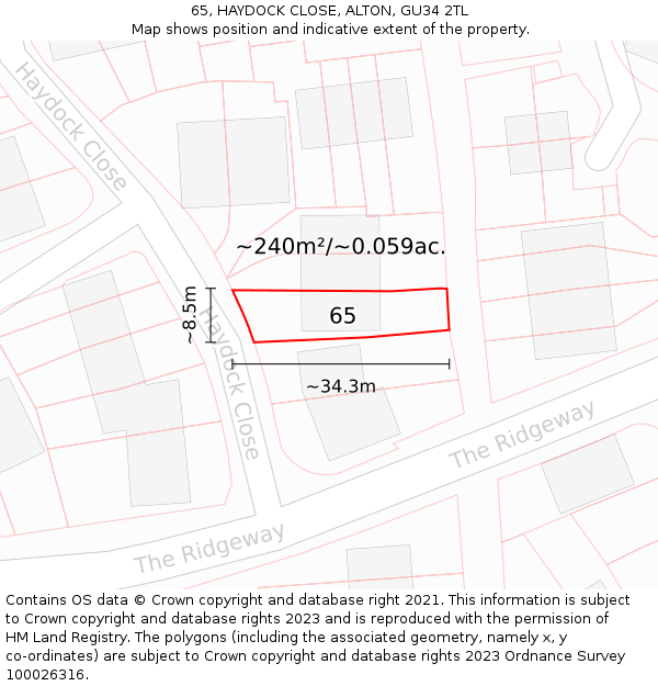 65, HAYDOCK CLOSE, ALTON, GU34 2TL: Plot and title map