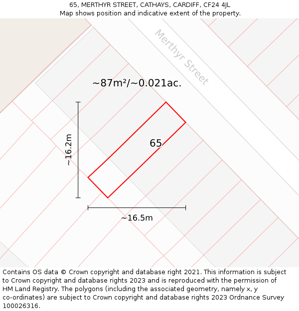 65, MERTHYR STREET, CATHAYS, CARDIFF, CF24 4JL: Plot and title map