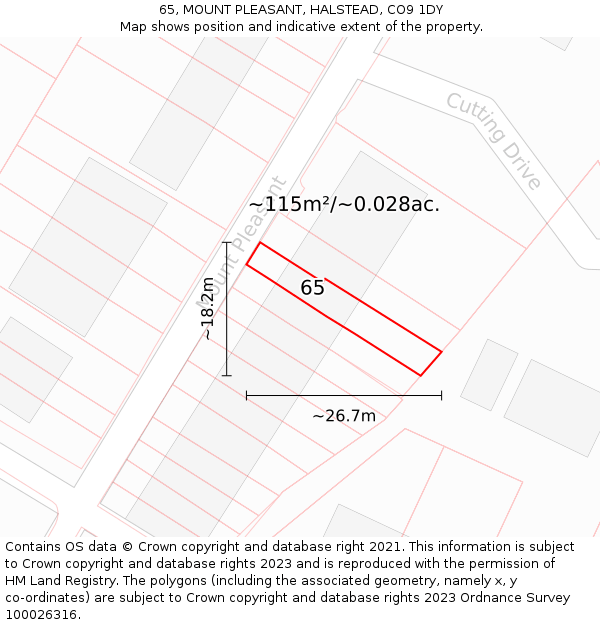 65, MOUNT PLEASANT, HALSTEAD, CO9 1DY: Plot and title map