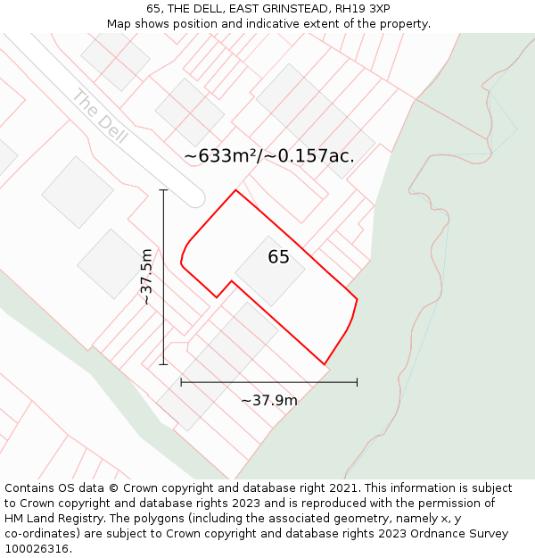 65, THE DELL, EAST GRINSTEAD, RH19 3XP: Plot and title map