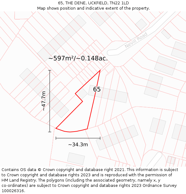 65, THE DENE, UCKFIELD, TN22 1LD: Plot and title map