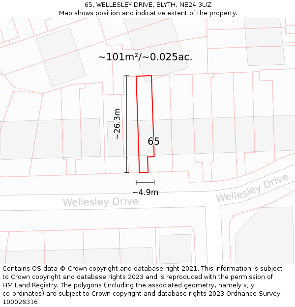 65, WELLESLEY DRIVE, BLYTH, NE24 3UZ: Plot and title map