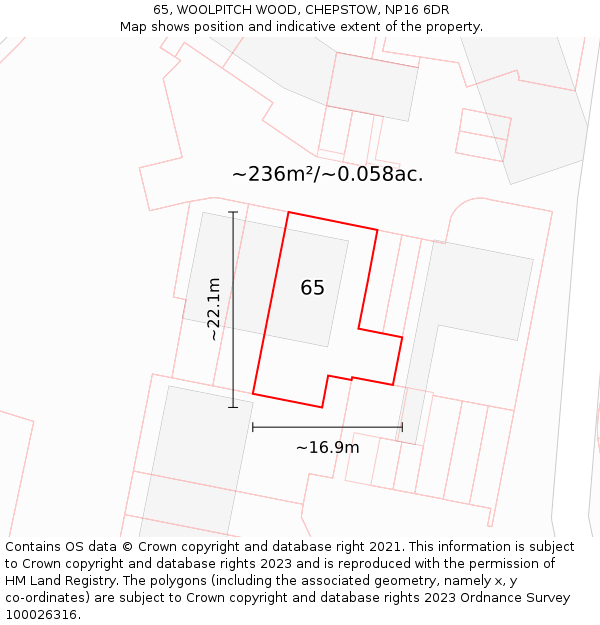 65, WOOLPITCH WOOD, CHEPSTOW, NP16 6DR: Plot and title map