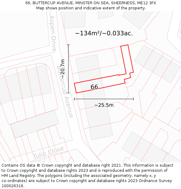66, BUTTERCUP AVENUE, MINSTER ON SEA, SHEERNESS, ME12 3FX: Plot and title map