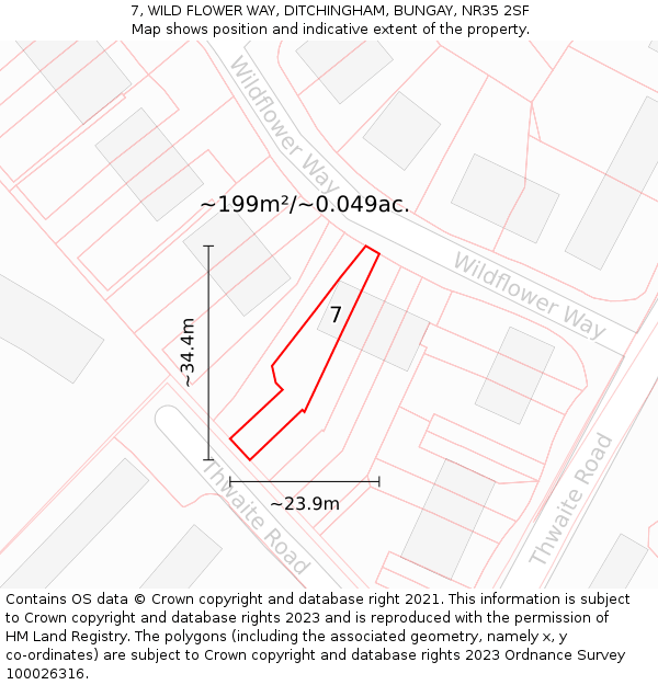 7, WILD FLOWER WAY, DITCHINGHAM, BUNGAY, NR35 2SF: Plot and title map