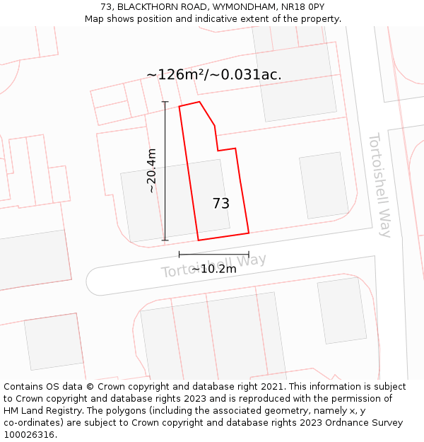 73, BLACKTHORN ROAD, WYMONDHAM, NR18 0PY: Plot and title map