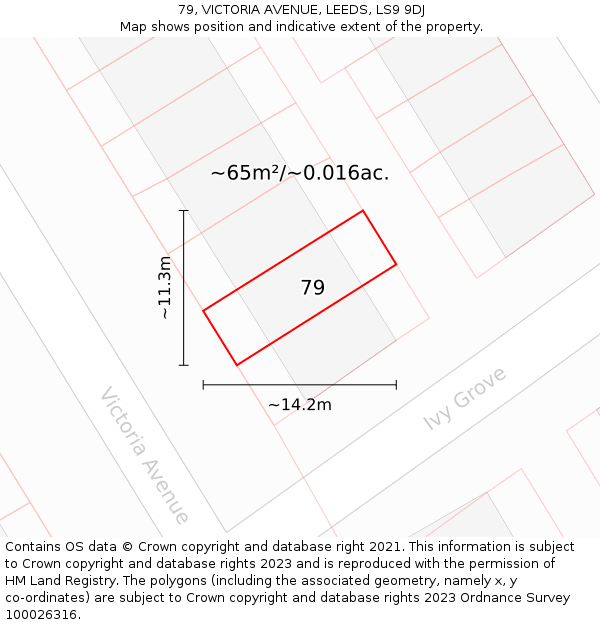 79, VICTORIA AVENUE, LEEDS, LS9 9DJ: Plot and title map