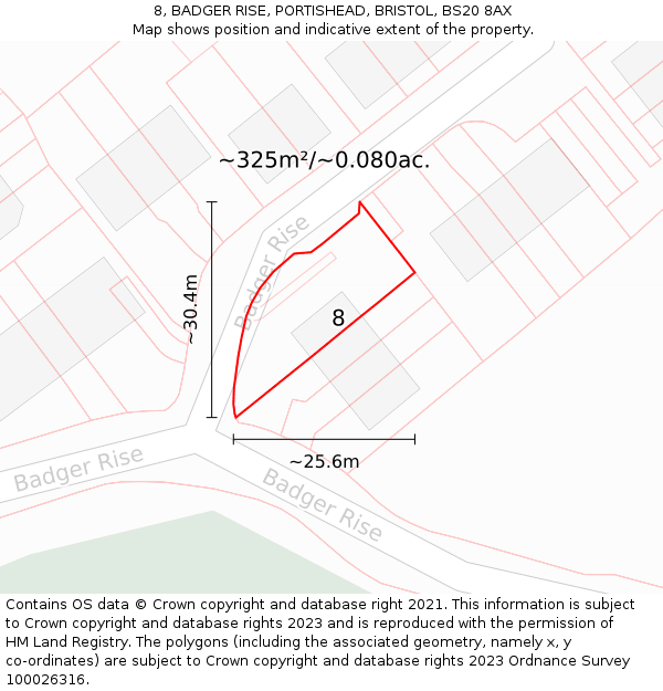 8, BADGER RISE, PORTISHEAD, BRISTOL, BS20 8AX: Plot and title map