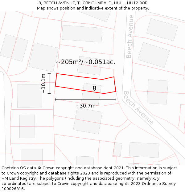 8, BEECH AVENUE, THORNGUMBALD, HULL, HU12 9QP: Plot and title map