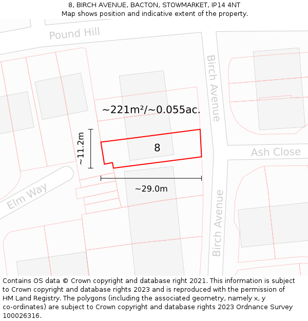 8, BIRCH AVENUE, BACTON, STOWMARKET, IP14 4NT: Plot and title map