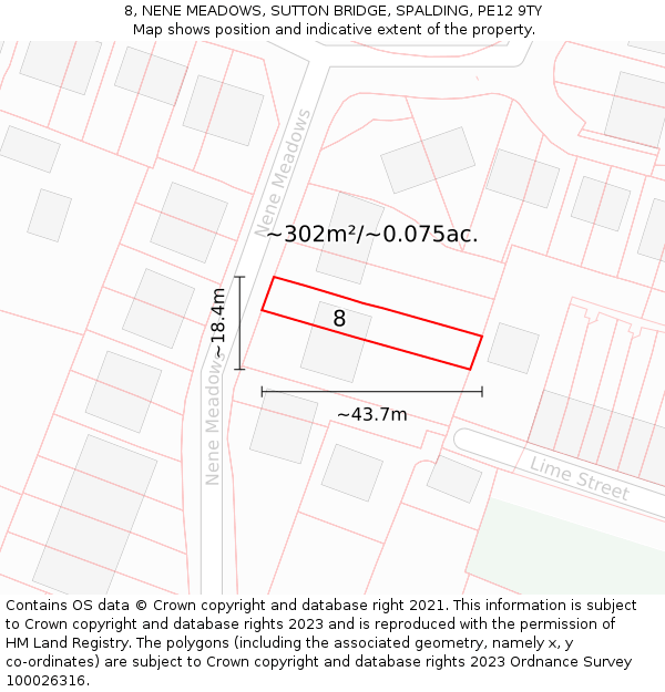 8, NENE MEADOWS, SUTTON BRIDGE, SPALDING, PE12 9TY: Plot and title map