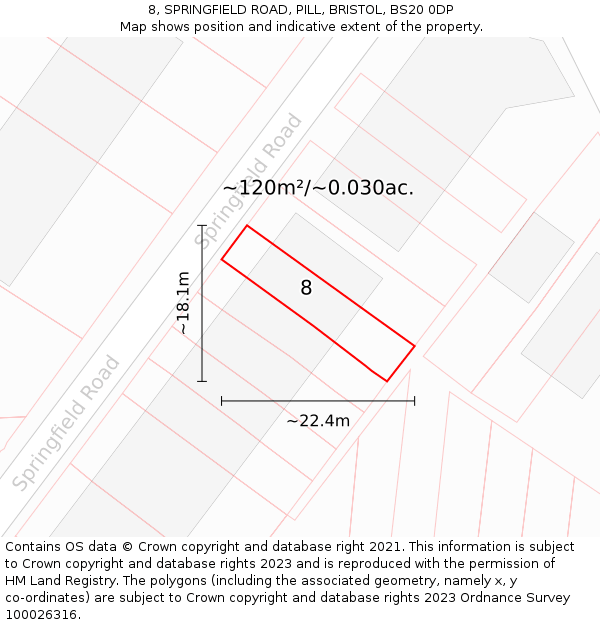 8, SPRINGFIELD ROAD, PILL, BRISTOL, BS20 0DP: Plot and title map