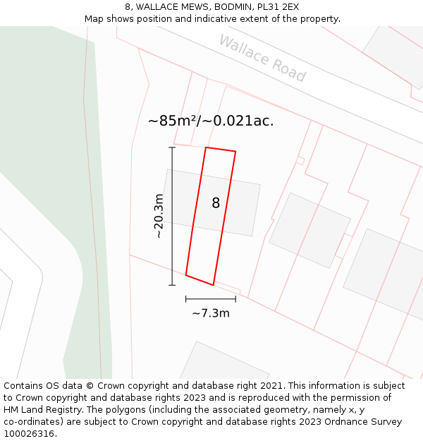 8, WALLACE MEWS, BODMIN, PL31 2EX: Plot and title map
