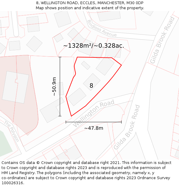 8, WELLINGTON ROAD, ECCLES, MANCHESTER, M30 0DP: Plot and title map